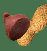 Chocolate PB - 16 Cereal Treats (4 boxes)