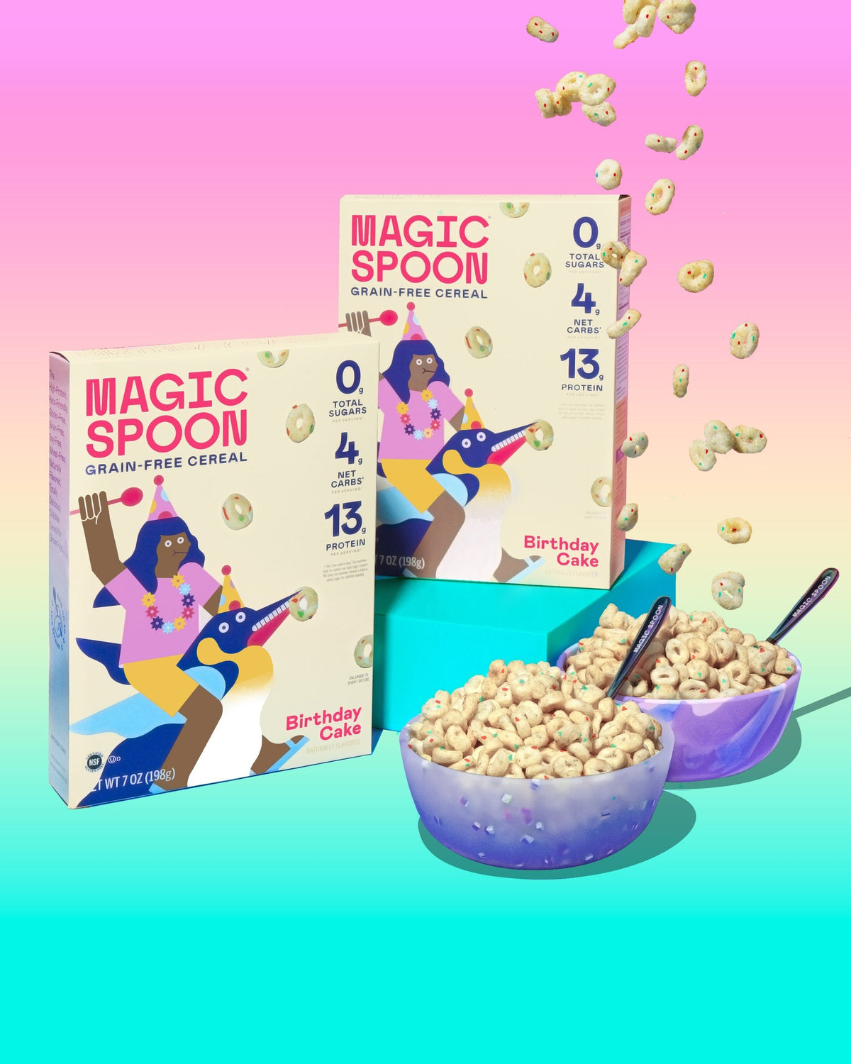 The Blow-Out Bundle - 2 boxes + Zebra Bowl + Parrot Bowl