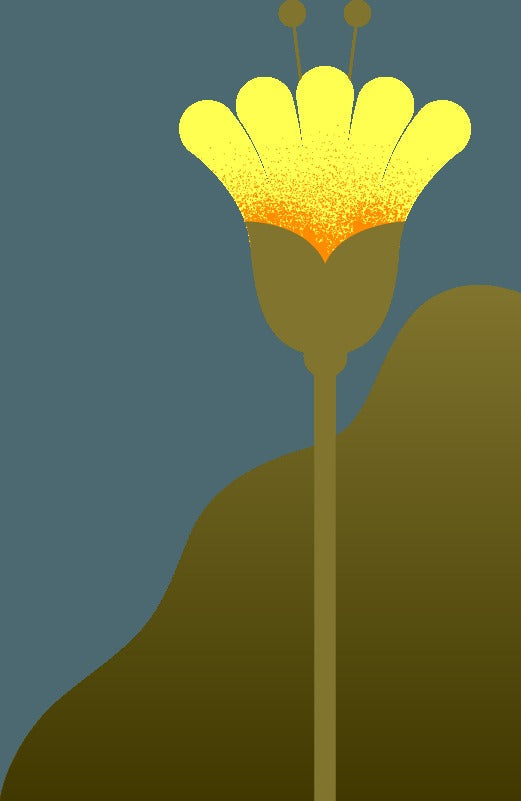 The Nut Case - 2 boxes